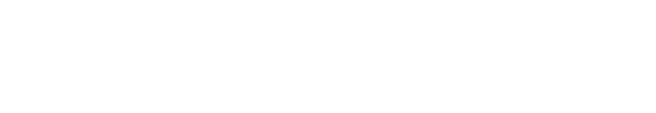 Pluss Autos, gestión automotriz